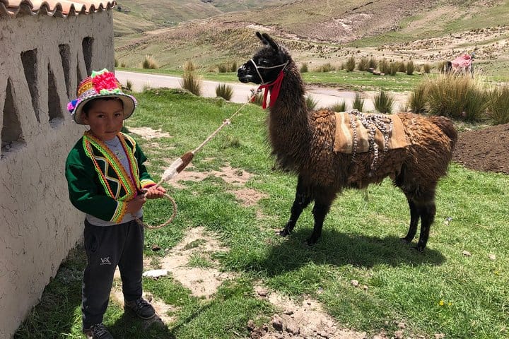 Private Experience Q'eswachaka Community & Last Inca Bridge Day Trip from Cusco 9