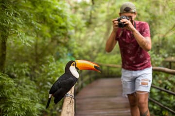 9-Day Cultural and Nature Tour of Rio de Janeiro and Foz do Iguaçu