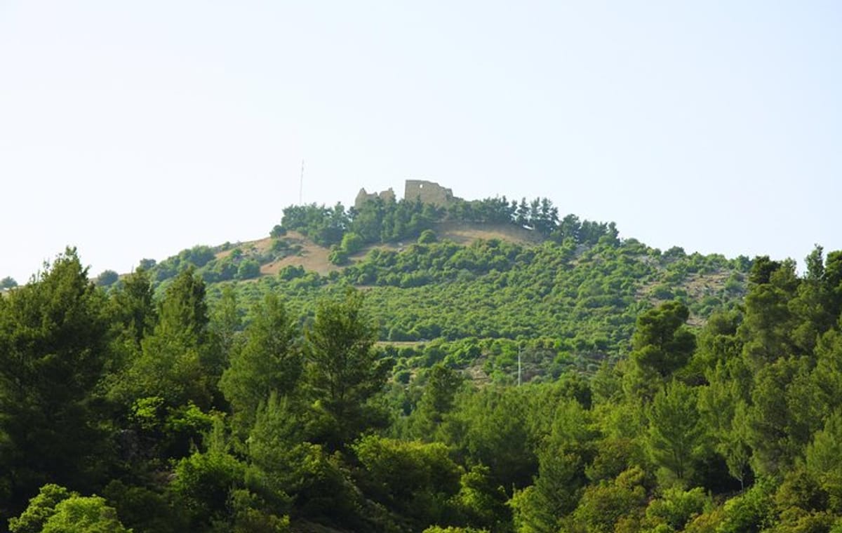 Private Tour to Ajloun from Amman with Optional Hiking Experience