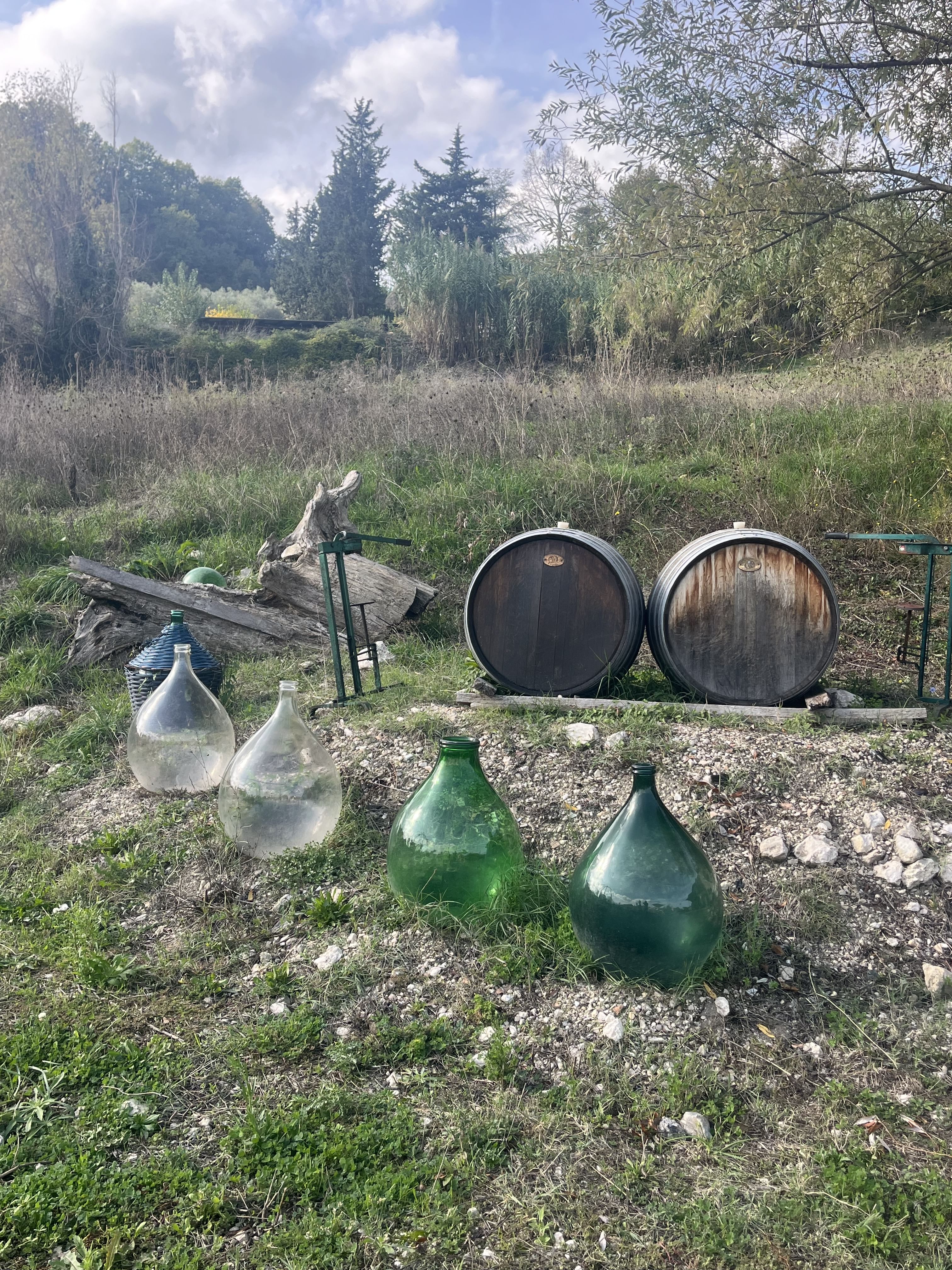 Uncorking Irpinia: A Private Wine Tour from Salerno