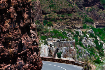 Full Day Tour of Table Mountain, Cape of Good Hope & Boulder's Beach in Cape Tow