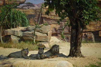 Hoi An: South Hoi An River Safari With Candle-lit Beach Dinner