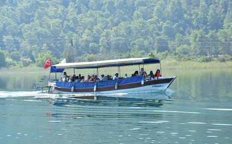 Dalyan Tour: Mud Baths, Rock Tombs, and Turtle Beach