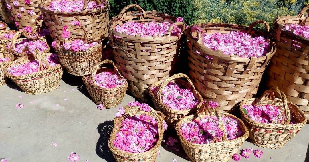 Buzludzha monument and Valley of Roses tour