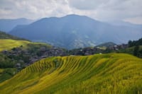 Longji Rice Terraces