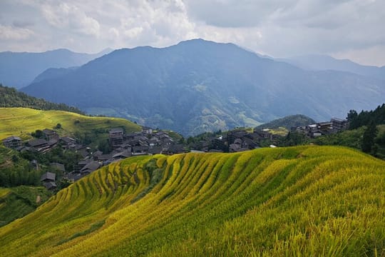 Longji Rice Terraces Hiking Day Tour 