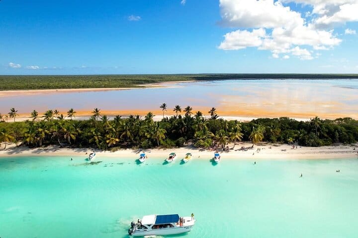 5 tours in 1 (Eco Farm/Horseback/City Tour/Buggy/Zipline)