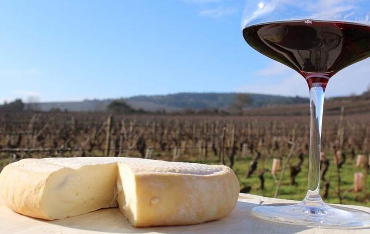 Nepalese goat cheese tasting with short trek near Kathmandu