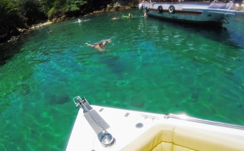 Sailing Tour to Lopes Mendes Beach in Angra dos Reis