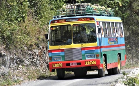 Bob Marley Nine Mile Day Trip with Guided Museum Tour from Runaway Bay