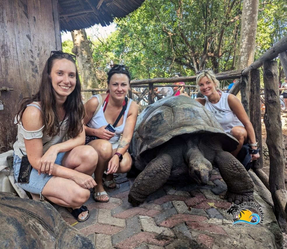 Zanzibar Prison Island Giant Big Tortoise Tour 8