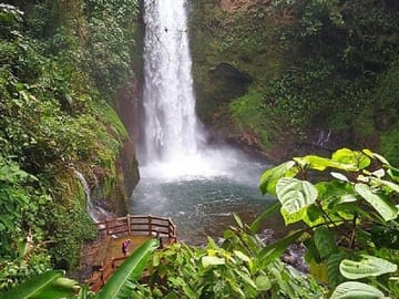 La Paz Waterfalls Half-Day Tour from San José, Costa Rica