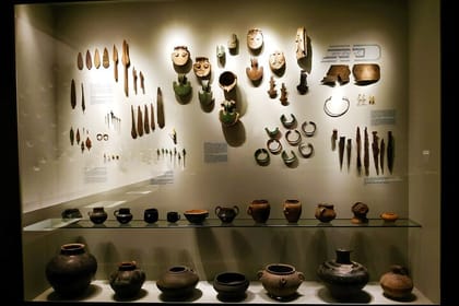 Explore Dmanisi & Bolnisi: Private Trip with Museums