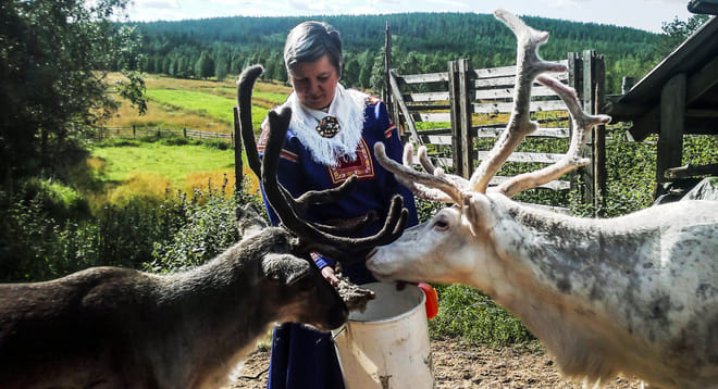 Arctic Reindeer Hike Experience  6