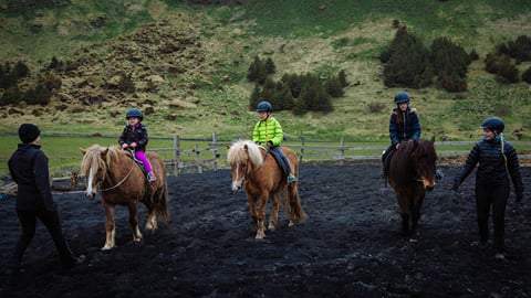 Family adventures in Iceland: ages and prices