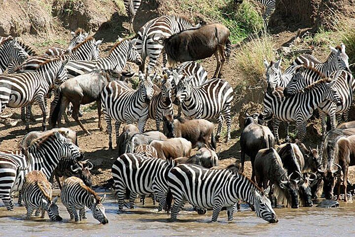 3-Day Amboseli and Tsavo West from Nairobi