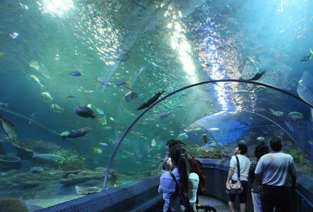 PATTAYA Join Tour Under Water World 3
