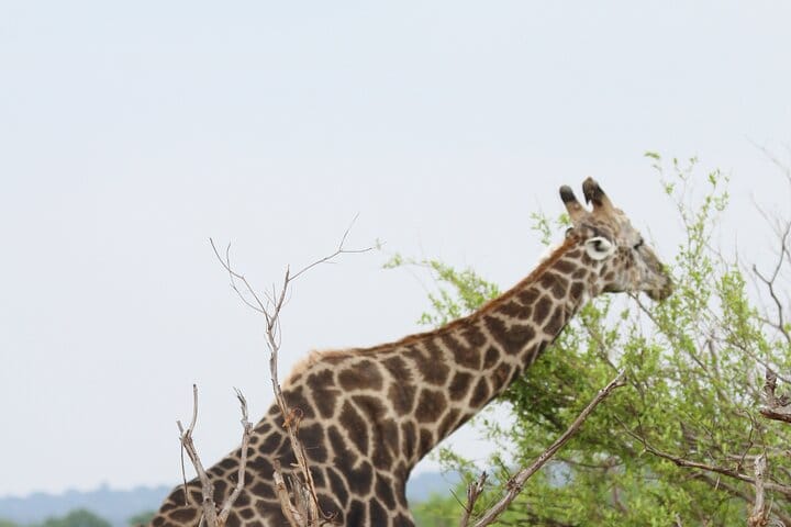 15 minutes scenic helicopter flight above Victoria Falls-Zimbabwe