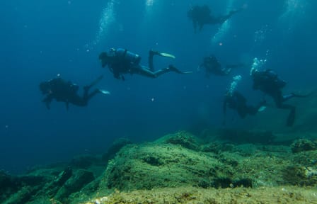 Private Beginner Scuba Diving Experience in Athens