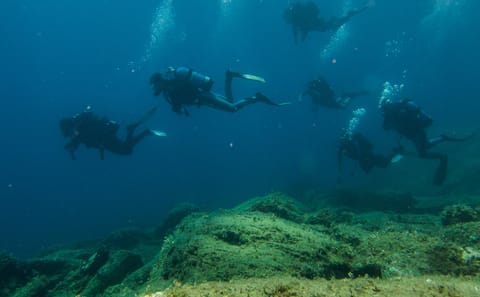 Private Beginner Scuba Diving Experience in Athens
