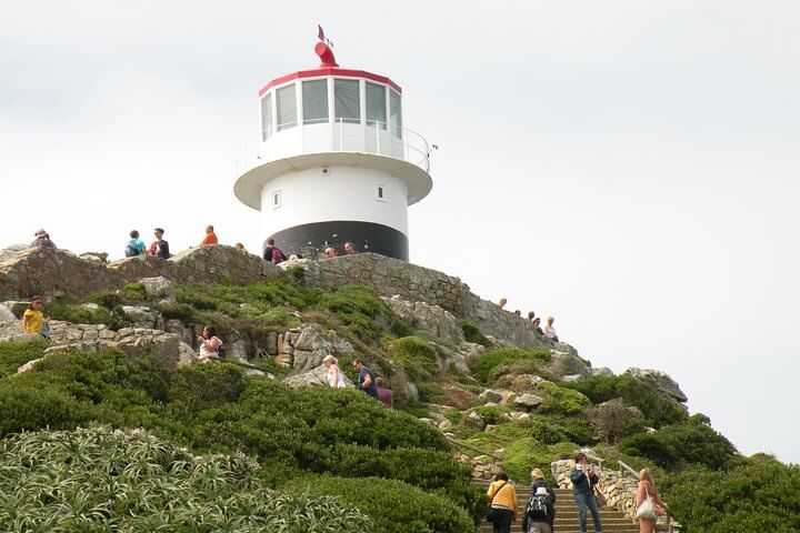 Cape Town Private Tour: Cape Of Good Hope and Penguins