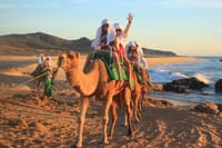 Sunset Camel Ride and ATV Combo Adventure in Los Cabos 2