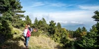 Hiking Mountain Parnitha 7