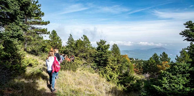 Hiking Mountain Parnitha 7