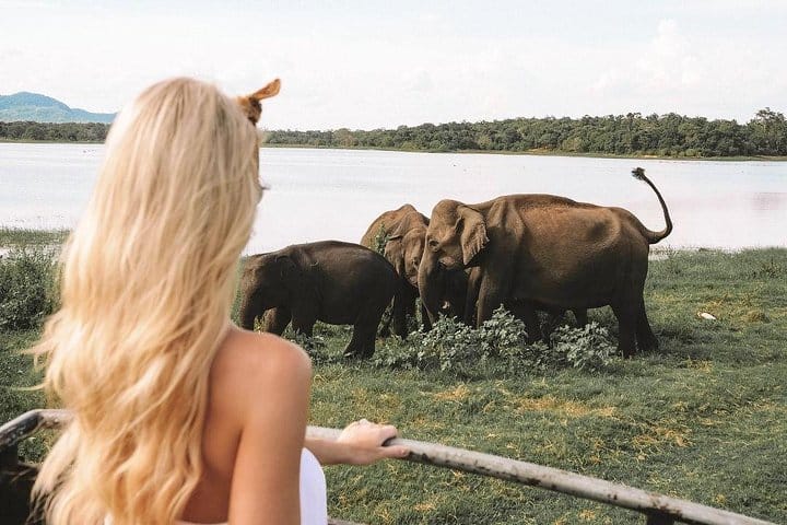 Highlights Of Sri Lanka | 7 Days