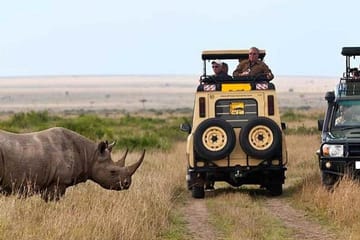 7-Day Safari Tour of Maasai Mara, Lake Nakuru, and Amboseli