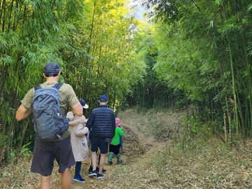 Unforgettable Trekking Experience to Hidden Bamboo Forest in SAPA