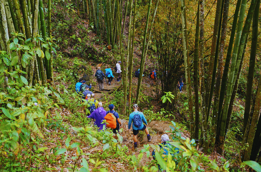 Sapa Trekking Adventure: Explore Rice Paddies & Local Villages