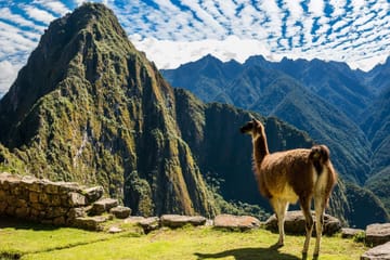 Best of Peru, Private Tour