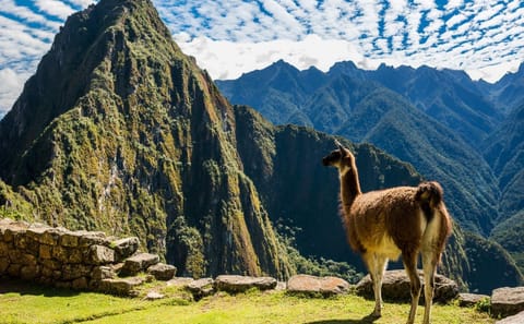 Cultural Highlights Tour of Lima, Peru - 7 Days