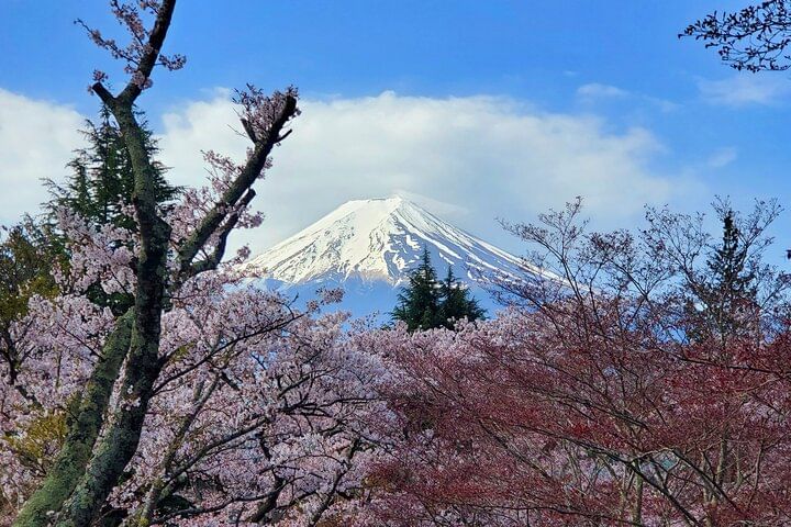 Tokyo to Mt. Fuji Customizable Private Tour
