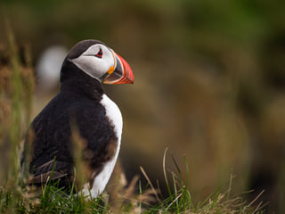 Private South Coast tour , photo 6
