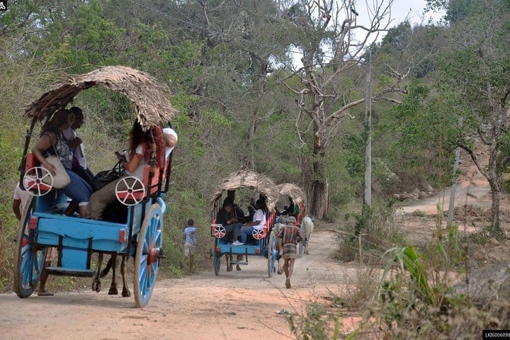 The Pick of Sri Lanka 9 Days Budget Tour