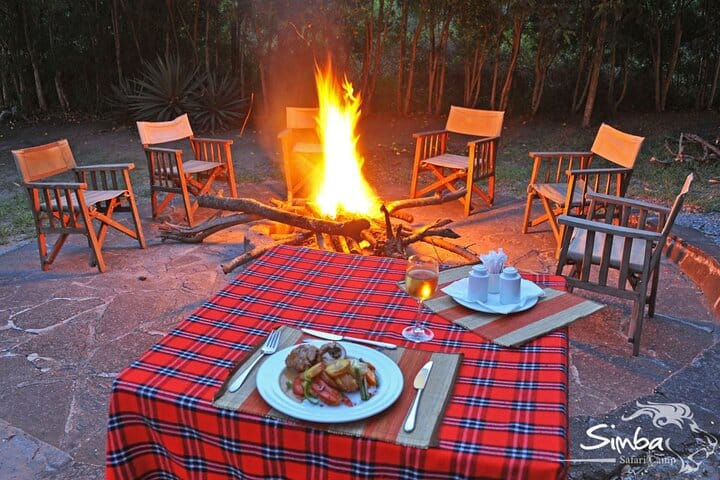 8-Day Private Wildlife Viewing and Chimpanzees Tracking Safari