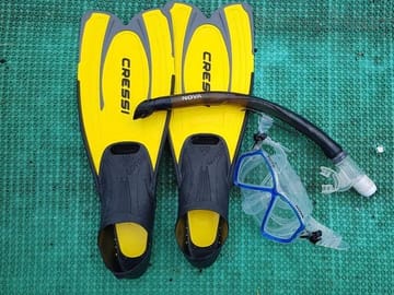 Snorkeling Gear