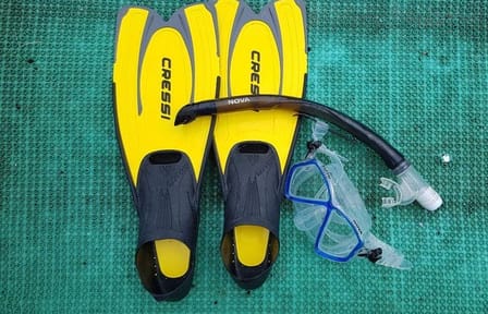 Snorkeling Adventure at Cham Islands from Da Nang