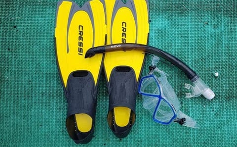 Snorkeling Adventure at Cham Islands from Da Nang