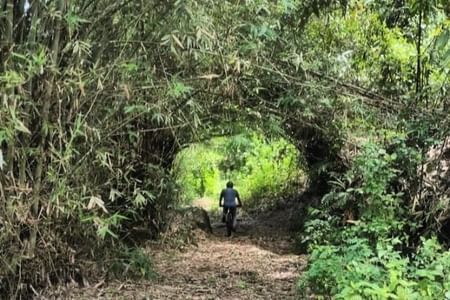 3-Hours Private Mountain Biking in Galle