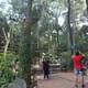 Bird Park
