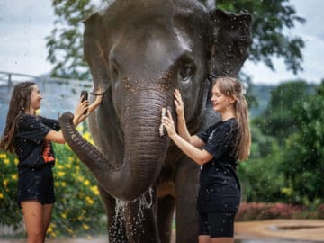 Khao Sok 3-Day 2-Night Adventure Escape with 7 Meals
