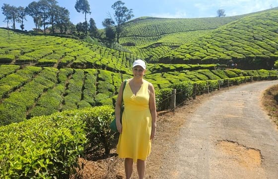 Bangalore To Cochin South India Temple & Backwater