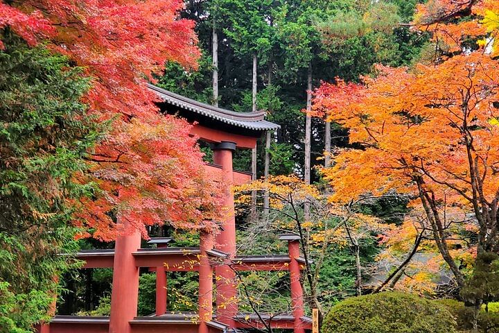 2 Days Private Tour: Tokyo / Mt Fuji and Hakone