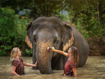 Khao Sok 3-Day 2-Night Adventure Escape with 7 Meals