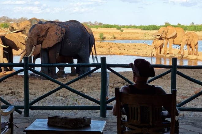 2-Day Taita Hills Wildlife Sanctuary & Tsavo East Safari -Mombasa photo 5