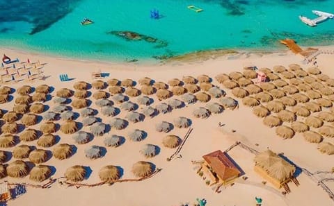Hula Hula Island Adventure with Lunch from Hurghada
