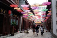 Private Day Tour in Kunming: Flower and Birds Market, Dianchi, Green Lake etc. 6